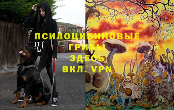 дмт Балабаново