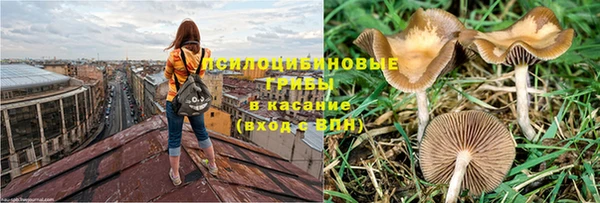 дмт Балабаново