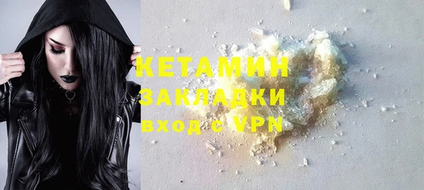 индика Костерёво