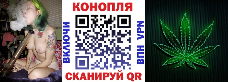 Конопля MAZAR  Бобров 